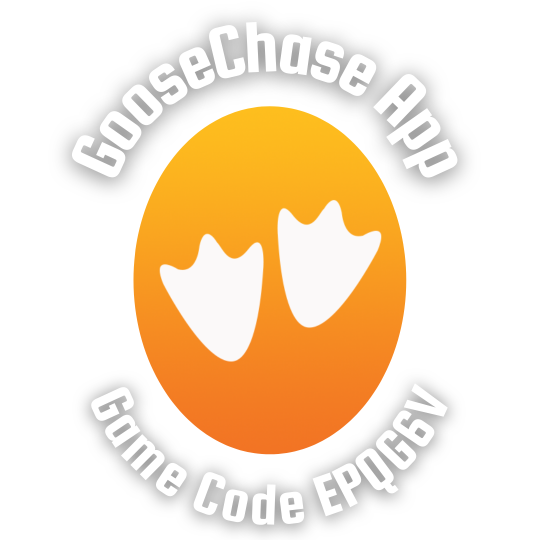 GooseChase App Game Code EPQG6V
