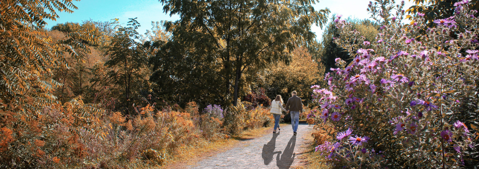 Couple walking down pictureque nature path in autumn