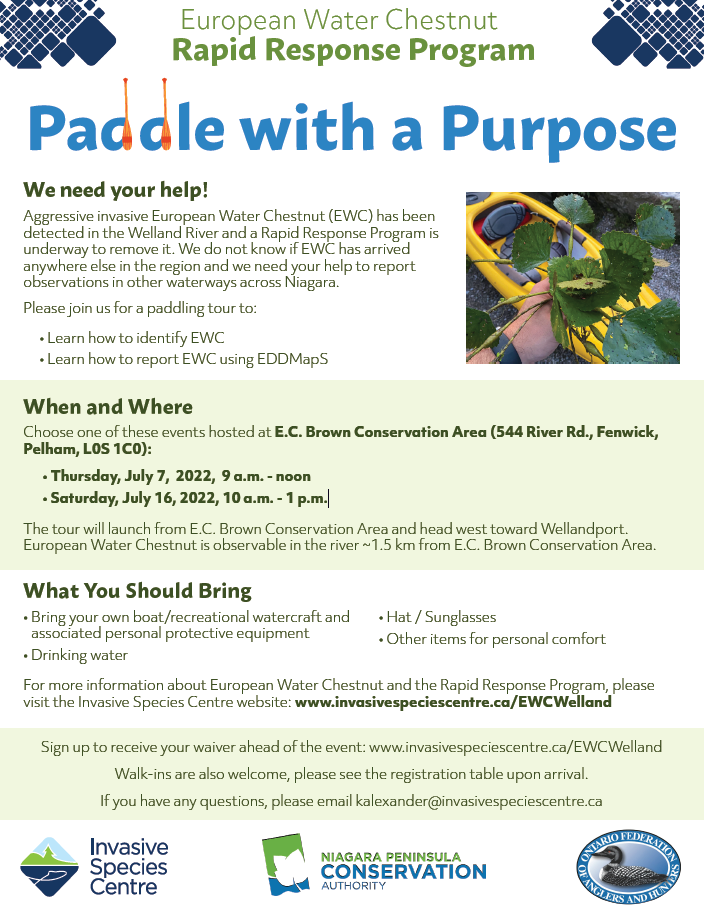 Paddle with a Purpose flyer