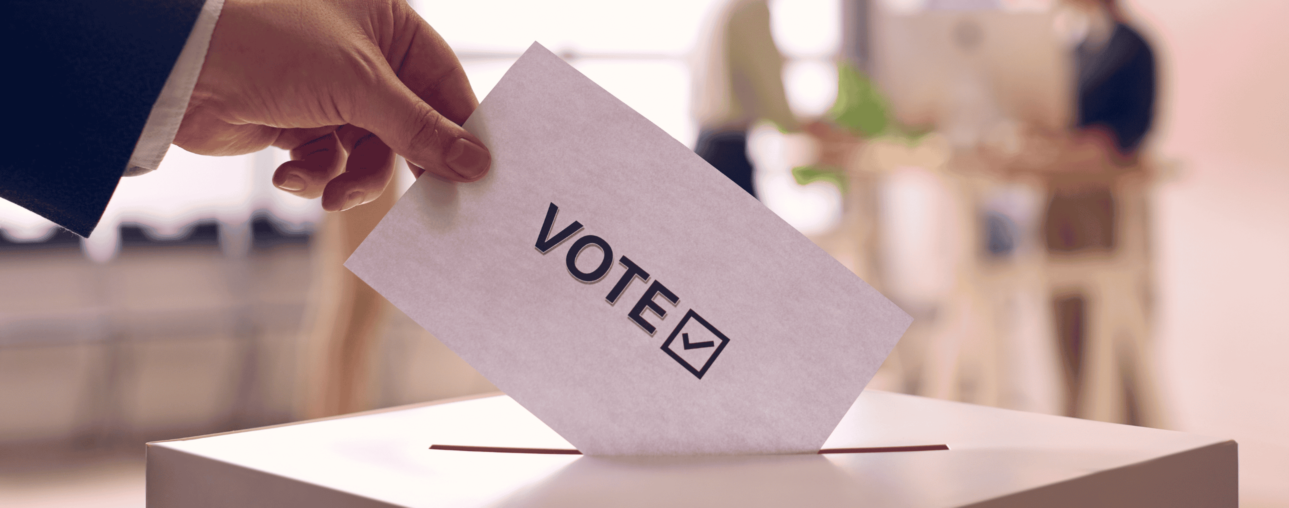Ballot being placed in box