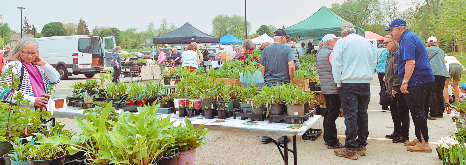 West Lincoln Plant Market