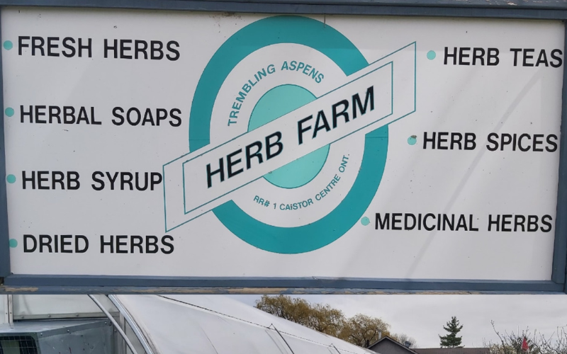Trembling Aspens Herb Farm - Fresh Herbs, Herbal Soaps, Herb Syrups, Dried Herbs, Herb Teas, Herb Spices, Medicinal Herbs