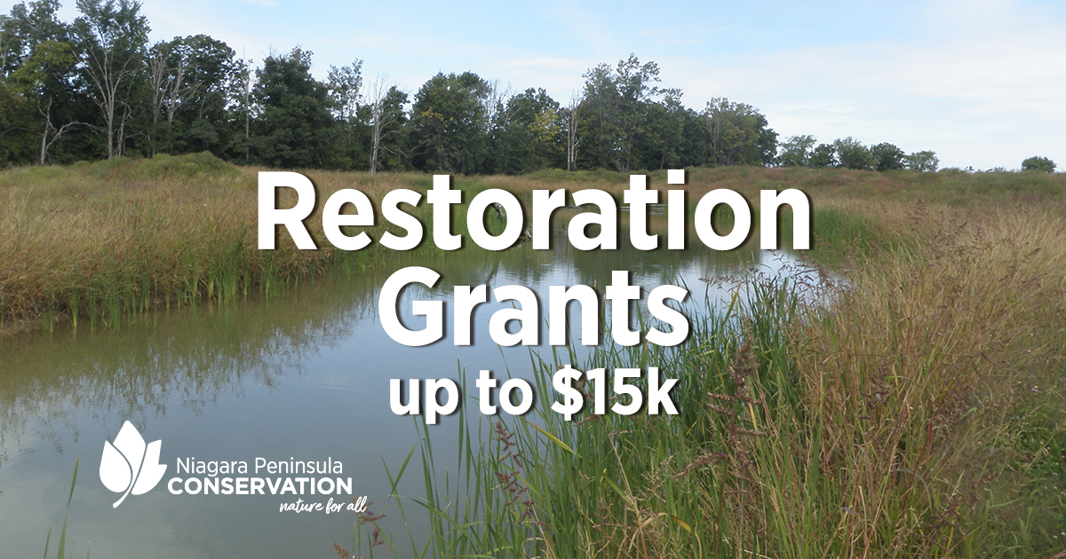 Restoration Grants up to $15K Niagara Peninsula Conservation nature for all