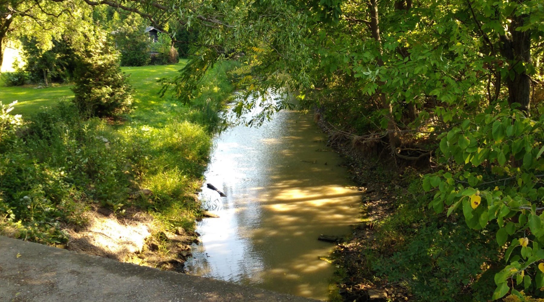 Sixteen Mile Creek Drain