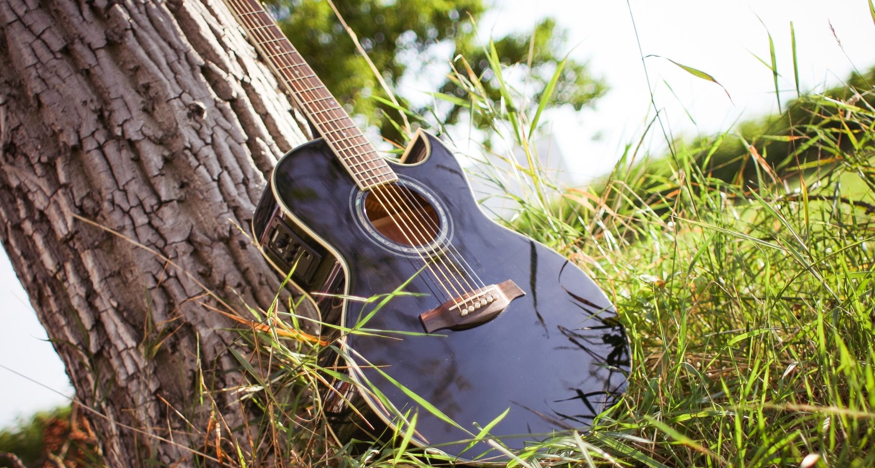 Guitar leaning against tree