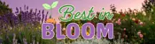 Lavender garden with test saying Best in Bloom