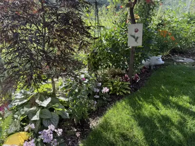Therapeutic garden