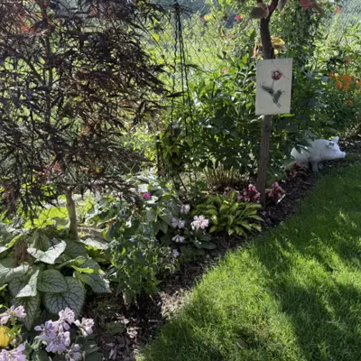 Therapeutic garden